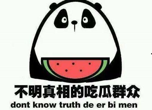 娱乐吃瓜大人,吃瓜群众的狂欢盛宴